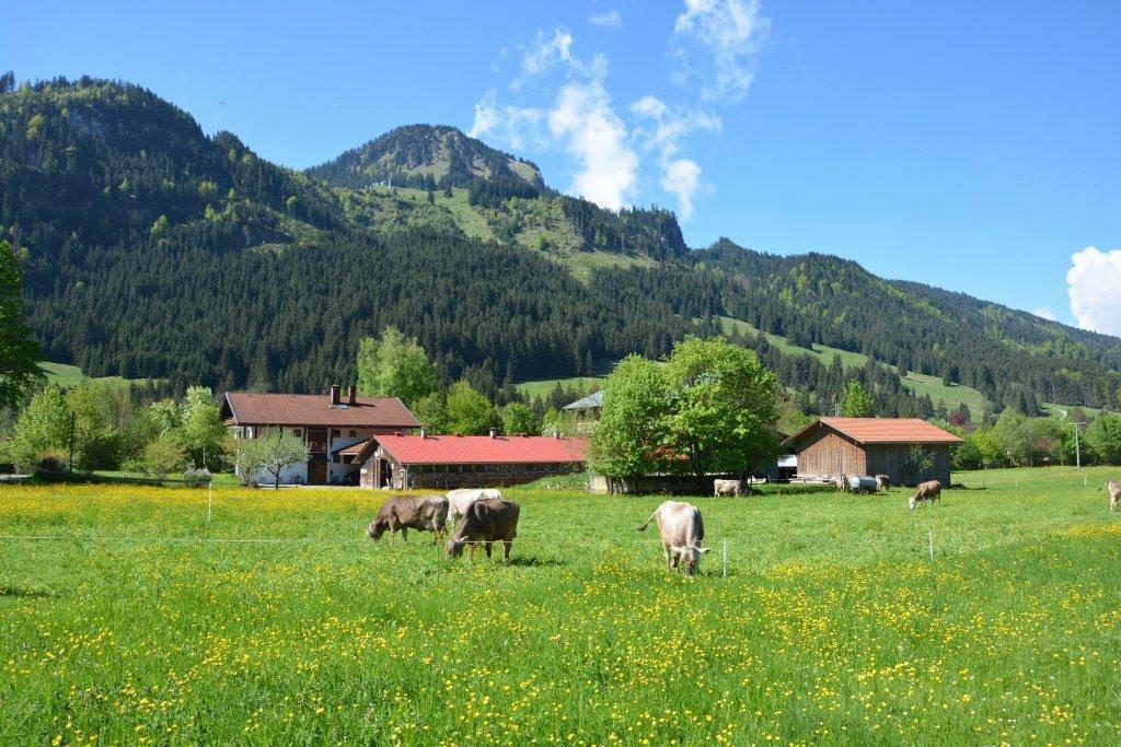 Heulandhof Villa Bad Hindelang Exterior photo
